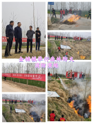 接踵出台了一系列有针对内容简介：全记者彭建