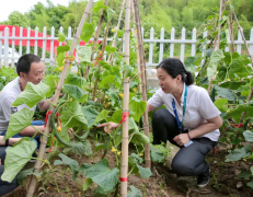 如结合提出的《要求将上虞区粮田补助、山林（